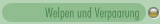 Welpen und Verpaarung