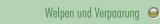 Welpen und Verpaarung